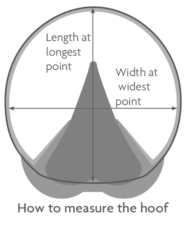 Woof Wear Medical Hoof Boot Blue-1